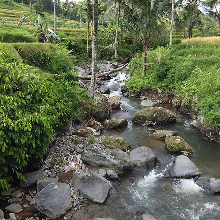 Villa Graha Ayoe Sidemen  Exterior foto